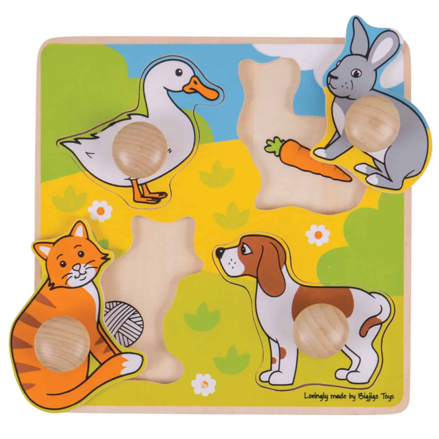 Bigjigs My First Peg Puzzle Pets Pieces