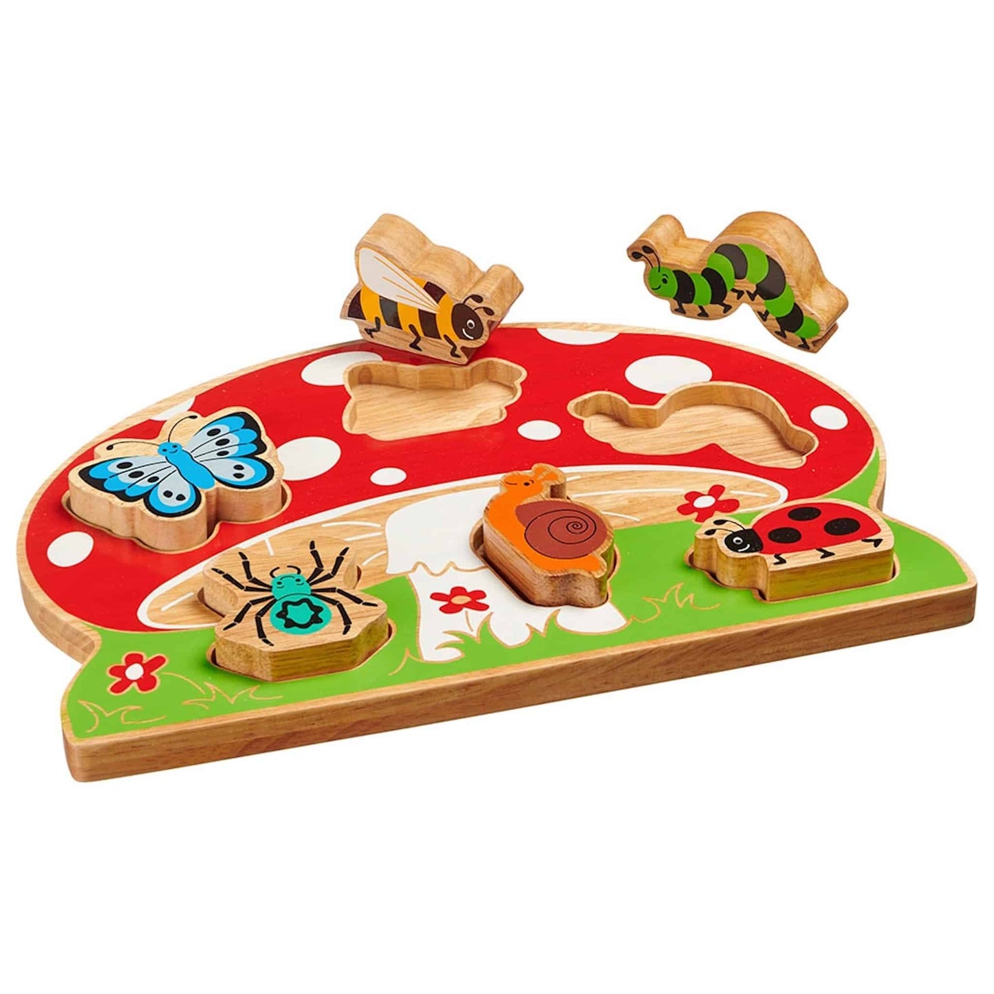 Lanka Kade Minibeast Shape Sorter Play