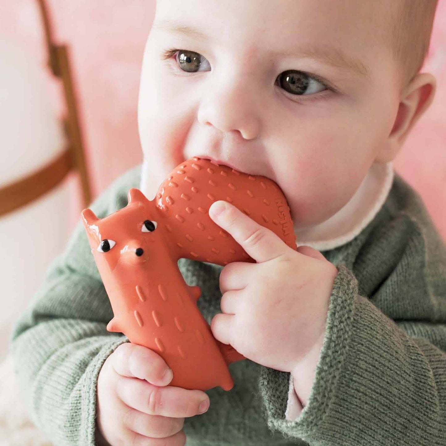 Oli & Carol Donna Wilson Cyril Squirrel Fox Play