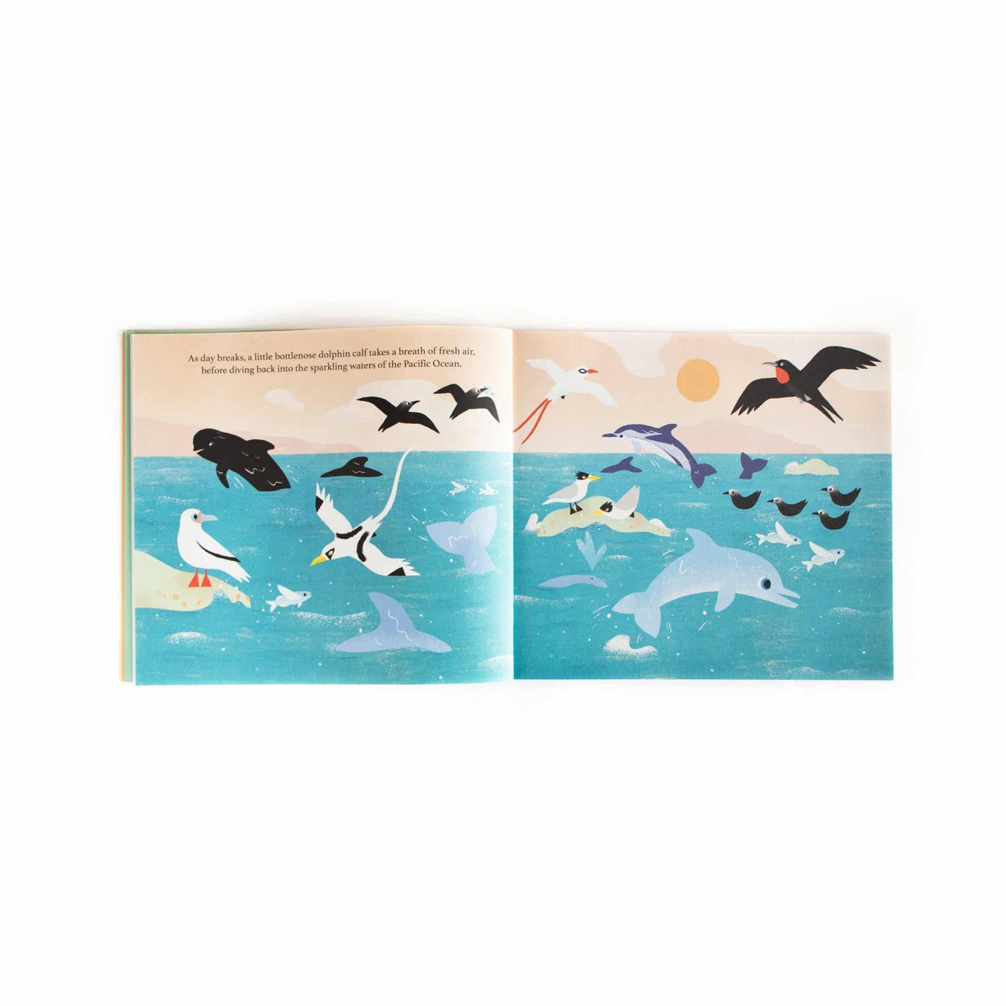 Flying Eye Books One Day On Our Blue Planet In The Ocean Inside