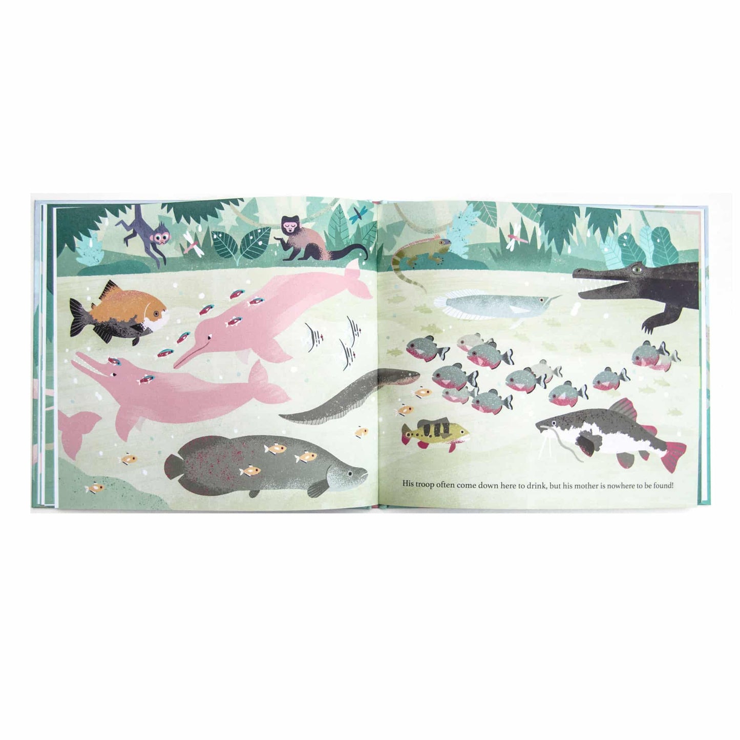 Flying Eye Books One Day On Our Blue Planet In The Rainforest Inside 1