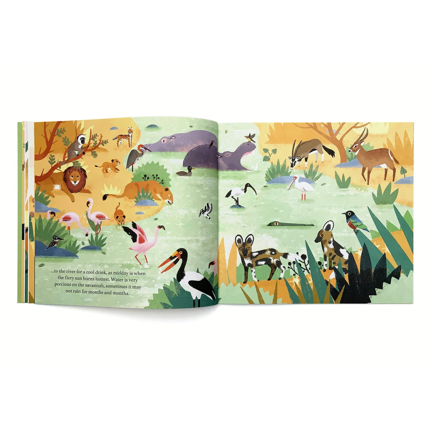 Flying Eye Books One Day On Our Blue Planet In The Savannah Inside