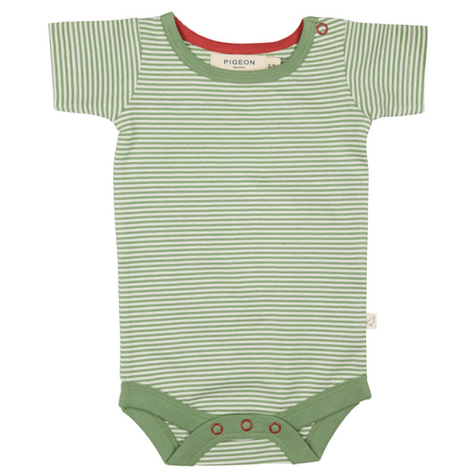 Pigeon Organics Short Sleeve Body Fine Stripe Green