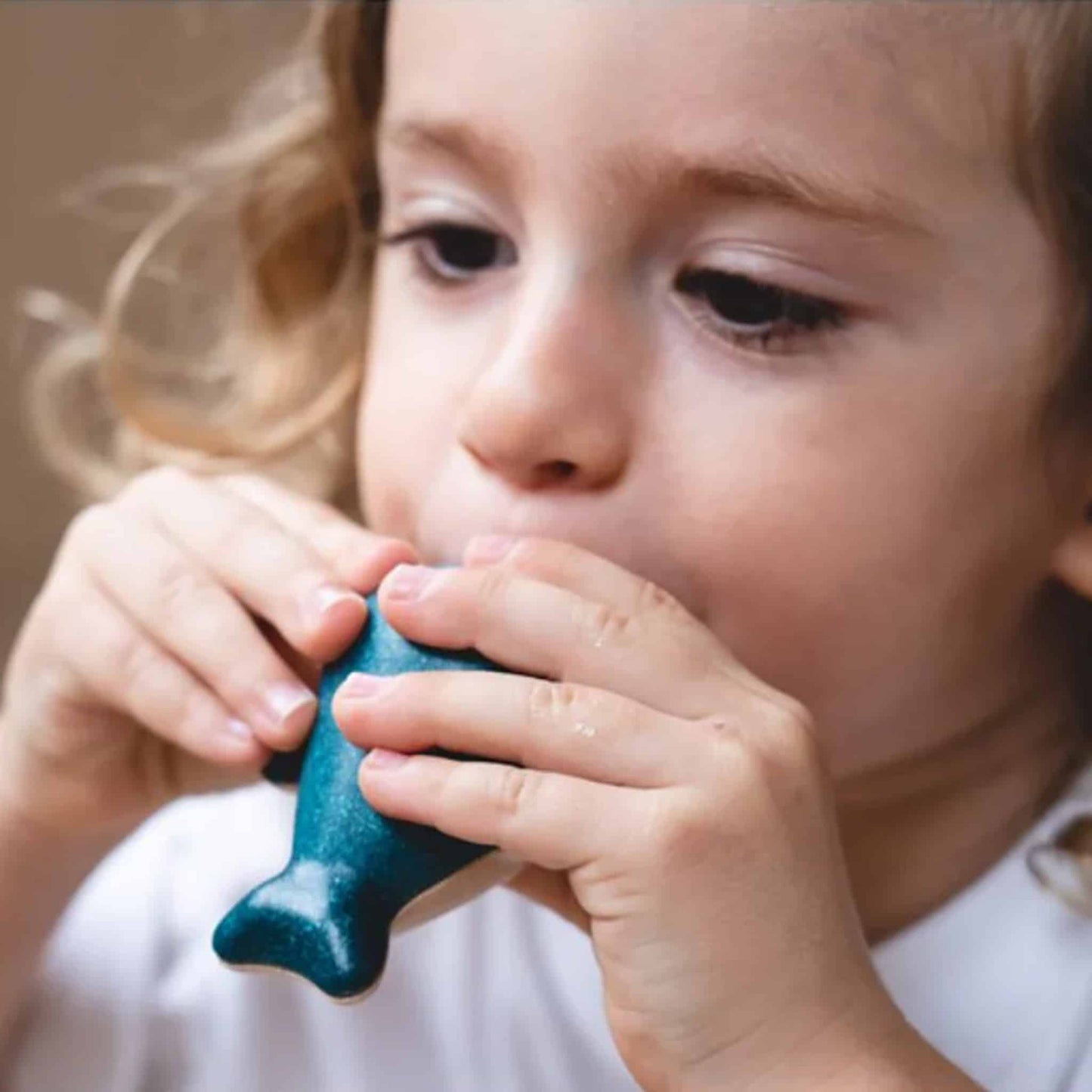 Plan Toys Whale Whistle Lifestyle