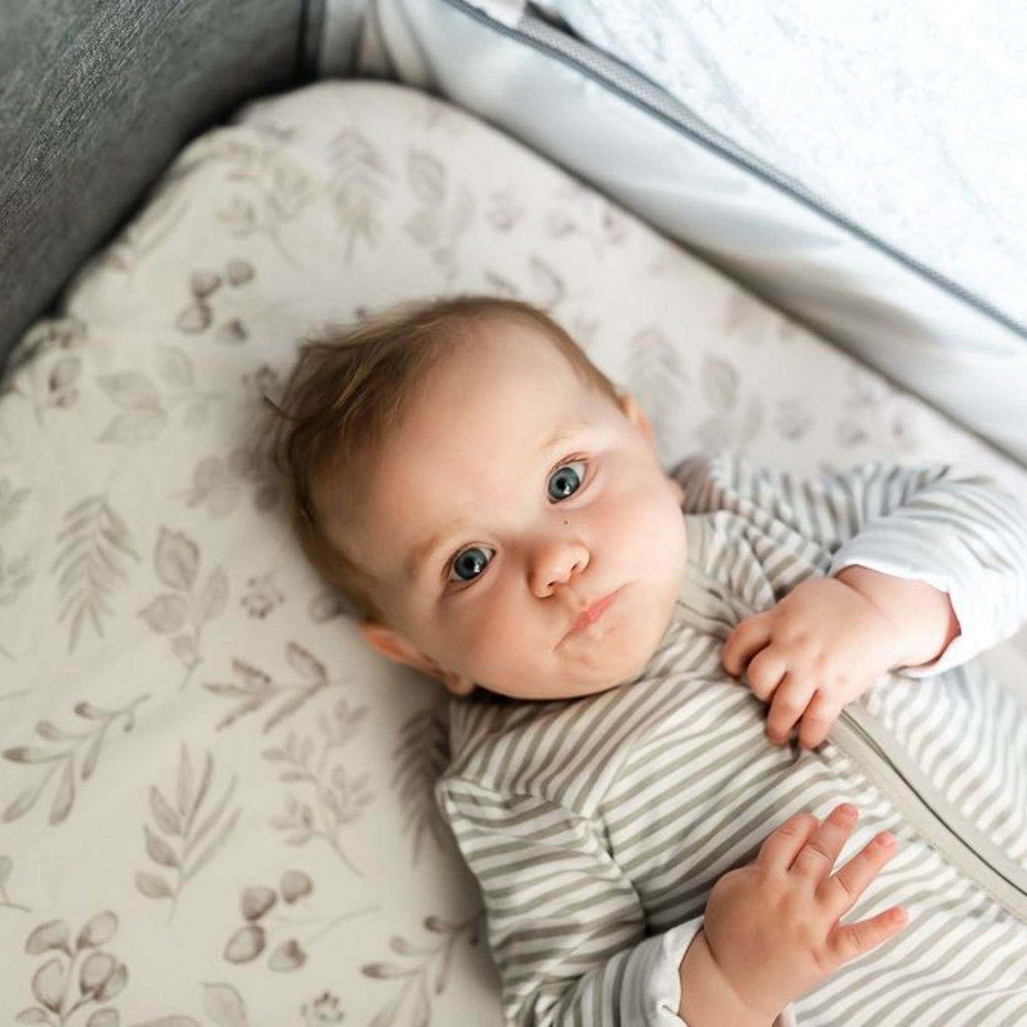 Gilded Bird Crib Sheets Lovely Leaves Grey