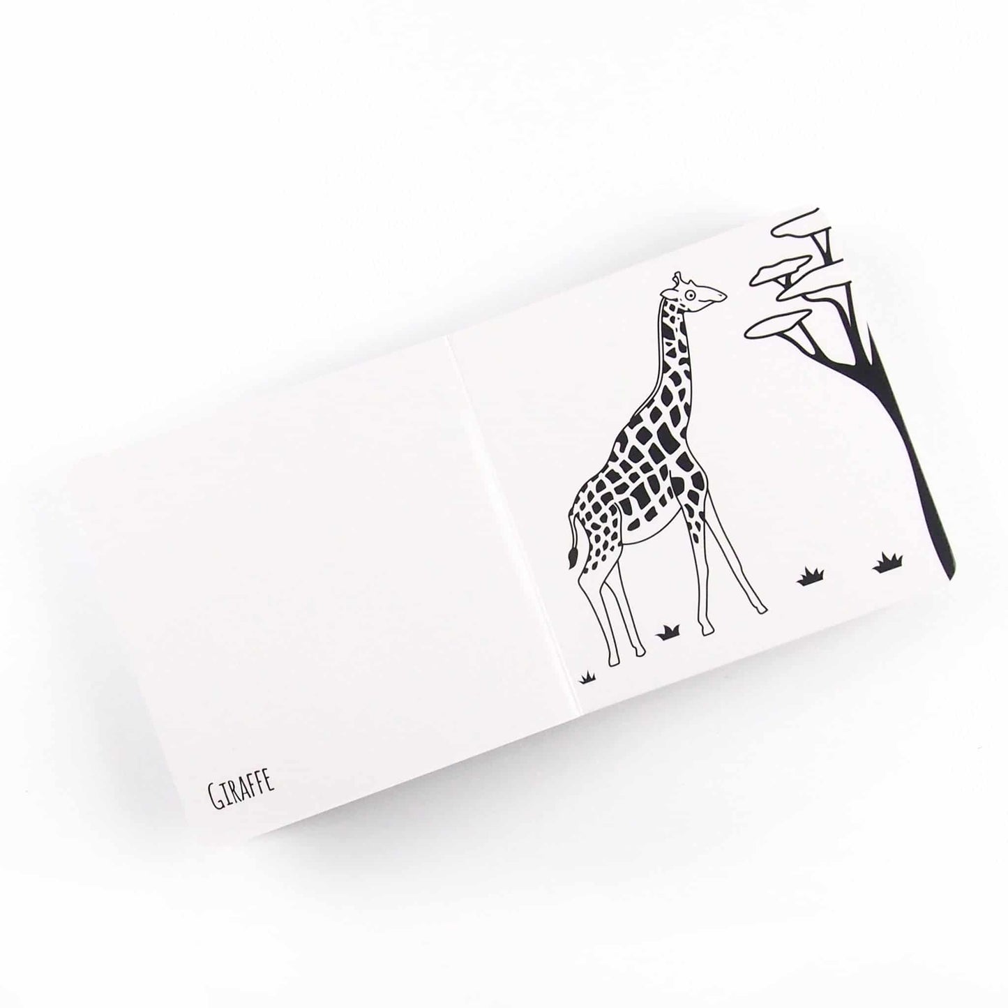 Black & White Book Project Africa Animals Board Book 3