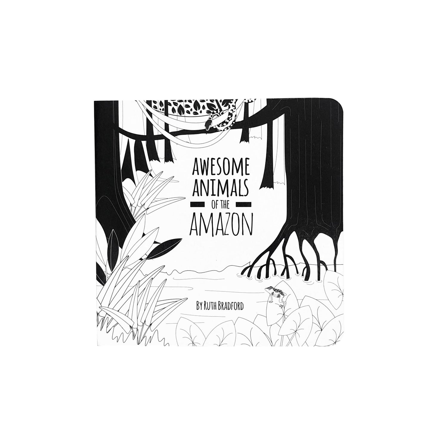 Black & White Book Project Amazon Animals Board Book 1
