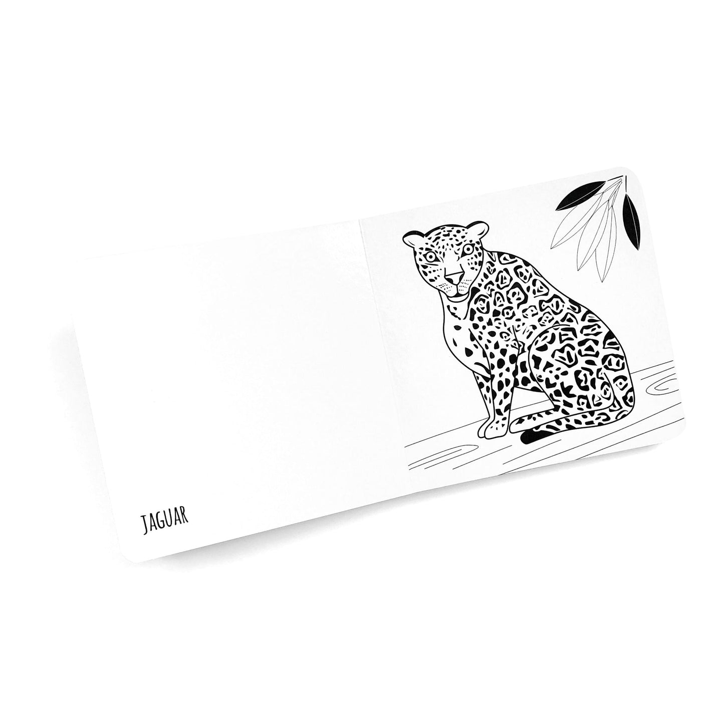 Black & White Book Project Amazon Animals Board Book 3