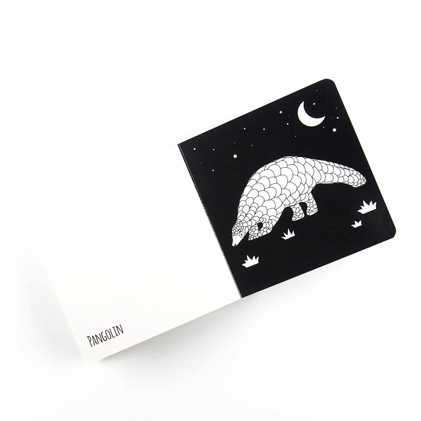 Black & White Book Project Asia Animals Board Book 3