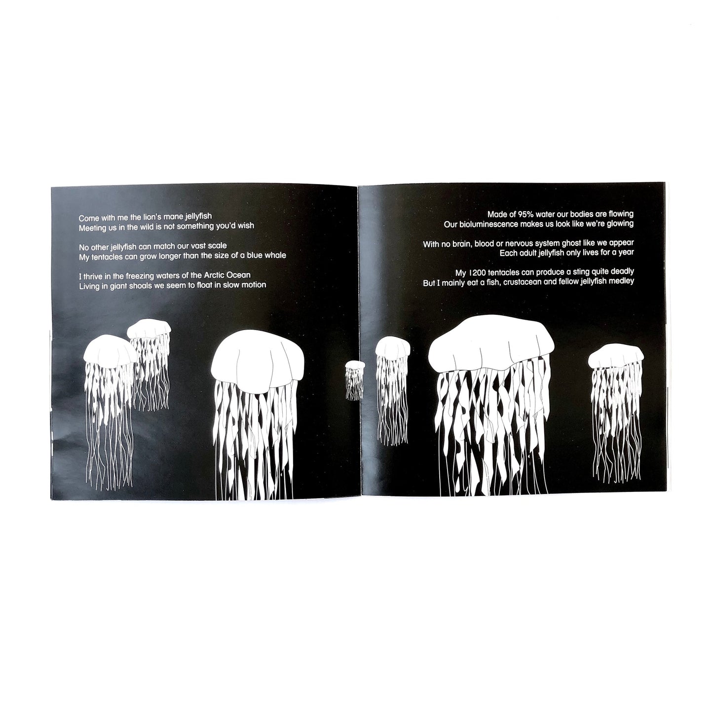 Black & White Book Project Come Dive With Me Storybook 3