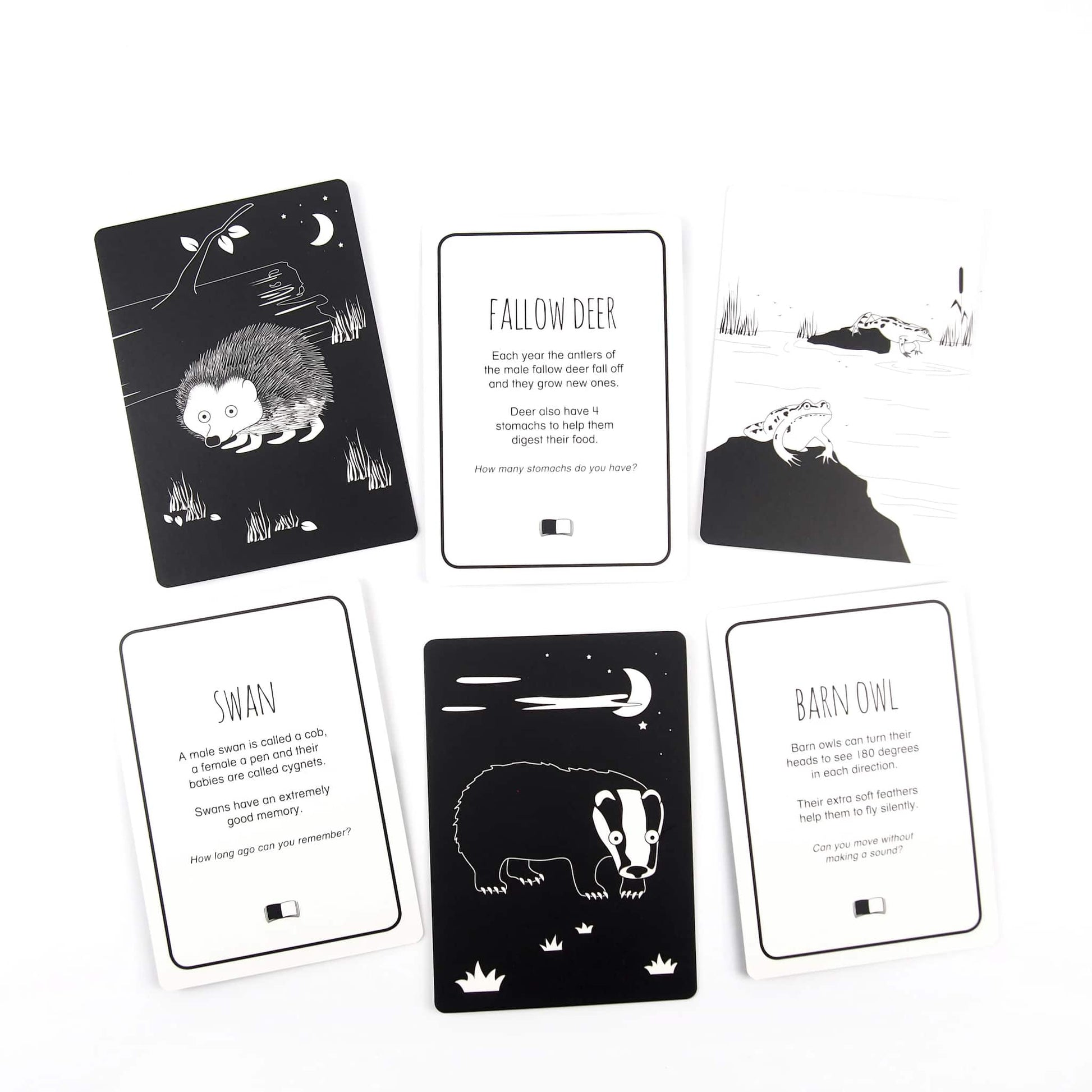 Black & White Book Project Brilliant Animals of Britain Sensory Cards