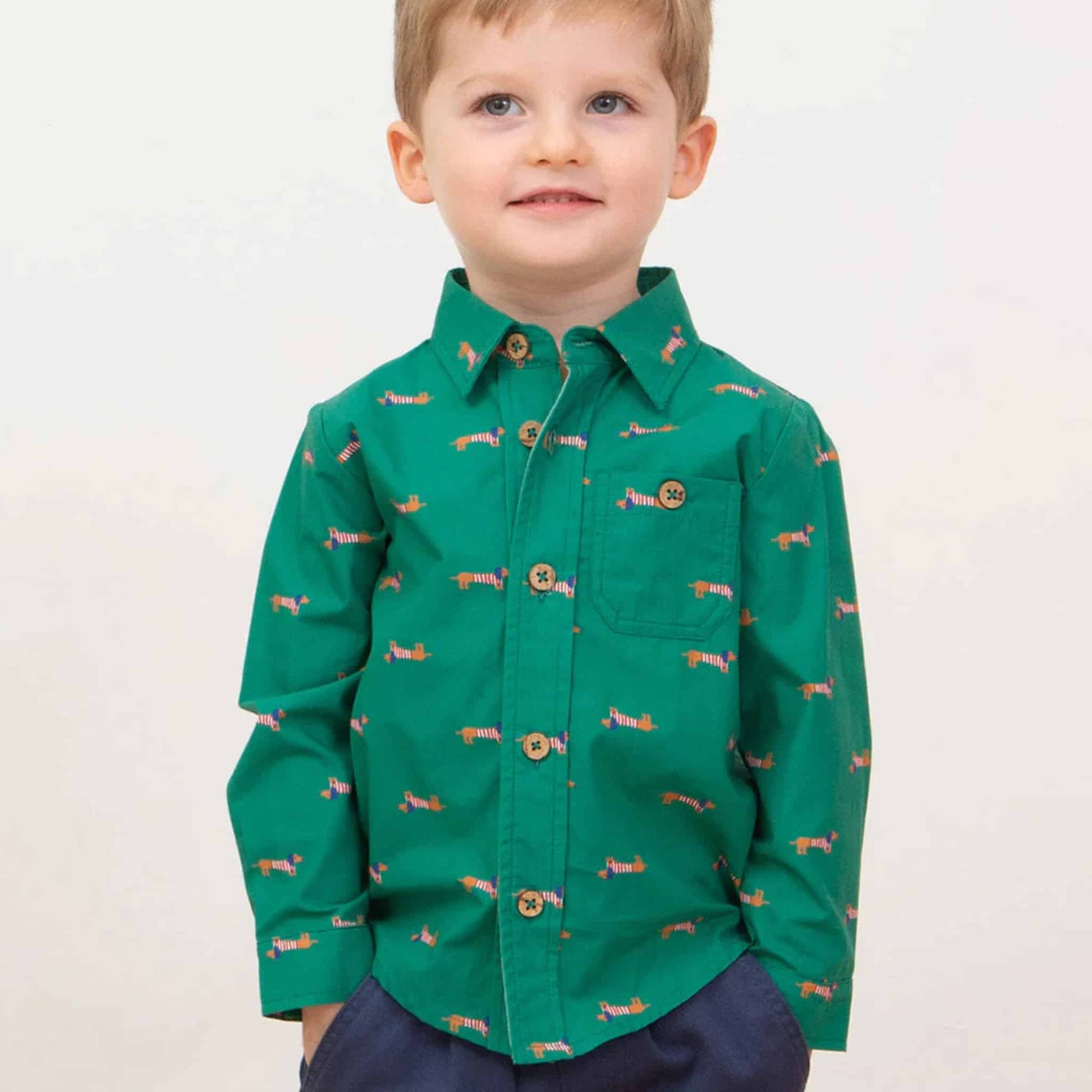 Kite Daxie Dog Shirt Lifestyle