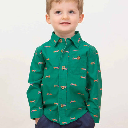 Kite Daxie Dog Shirt Lifestyle