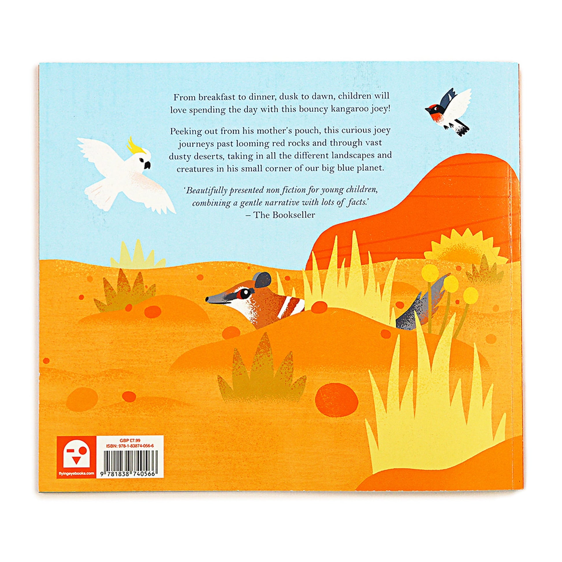 Flying Eye Books One Day On Our Blue Planet In The Outback Back