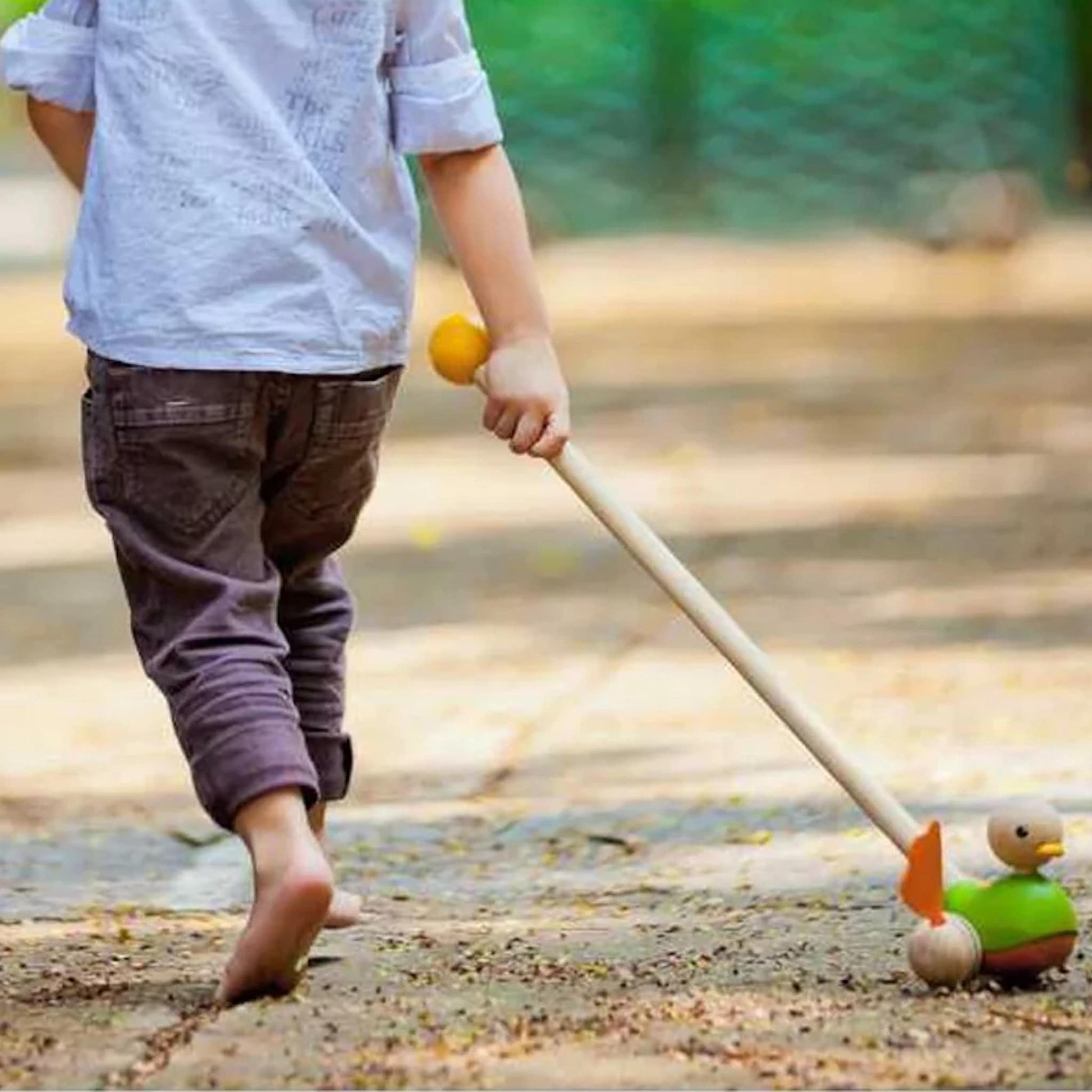 Plan Toys Push Along Duck Play