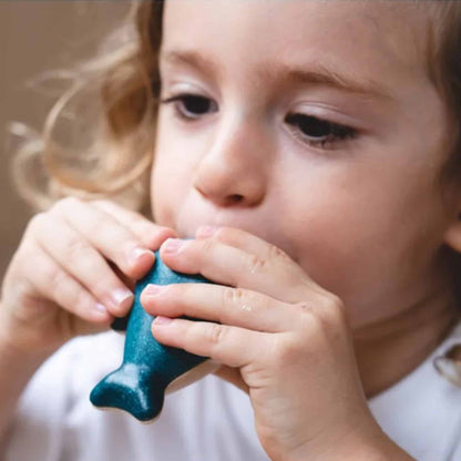 Plan Toys Whale Whistle Lifestyle